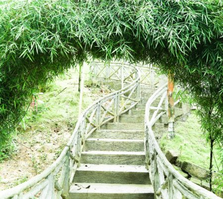 Tours and Travelers in Bangalore, Tourz2explore