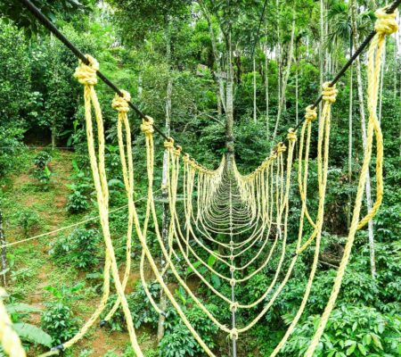 Tours and Travelers in Bangalore, Tourz2explore