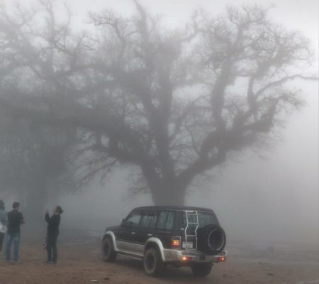 Tours and Travelers in Bangalore, Tourz2explore