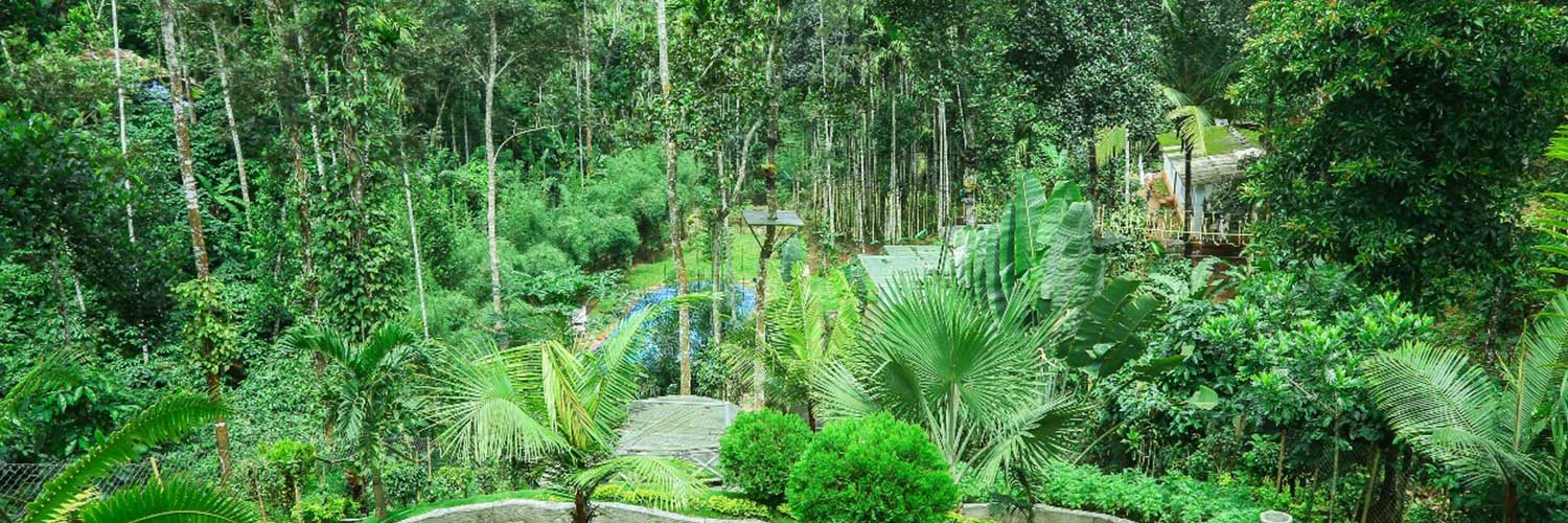 Tours and Travelers in Bangalore, Tourz2explore