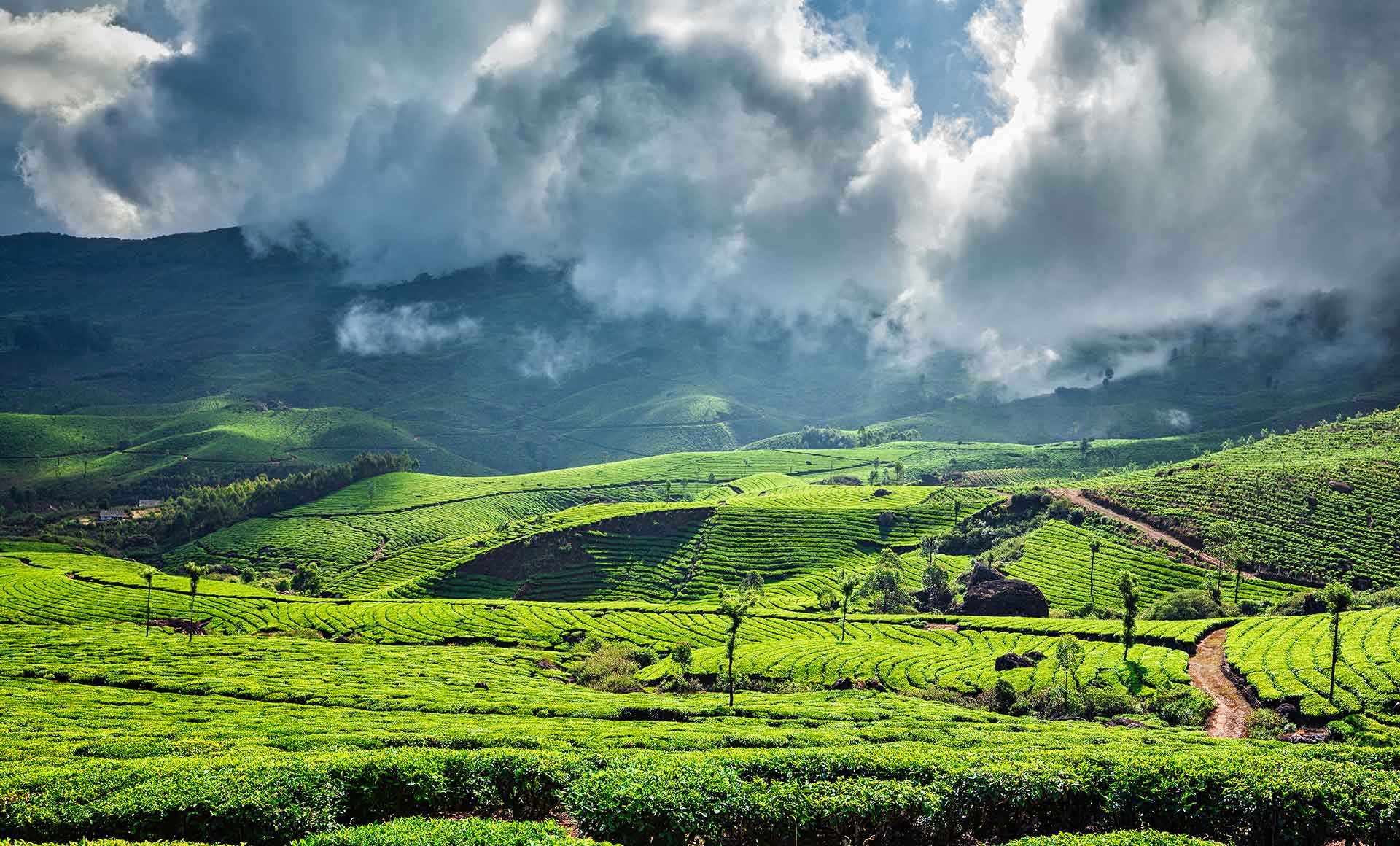 Tours and Travelers in Bangalore, Tourz2explore